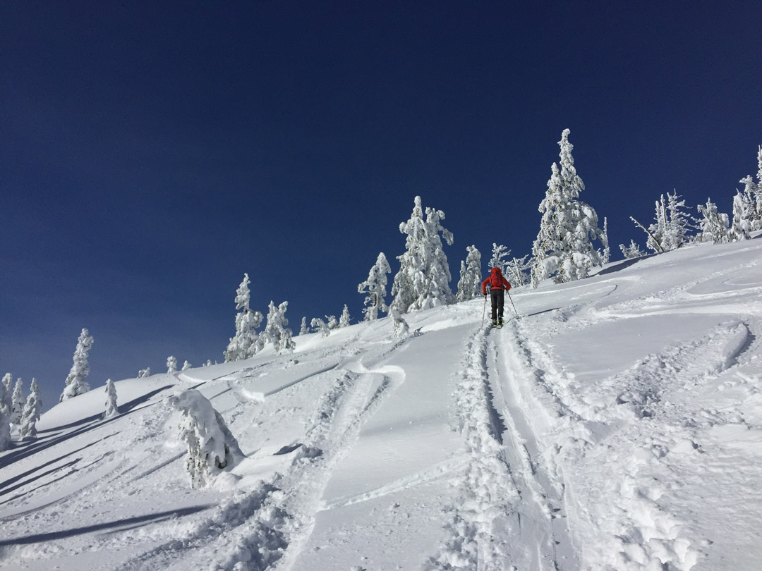 Skiing the Cinder Cone