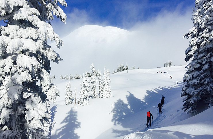 Backcountry skiing Mt. Rainier