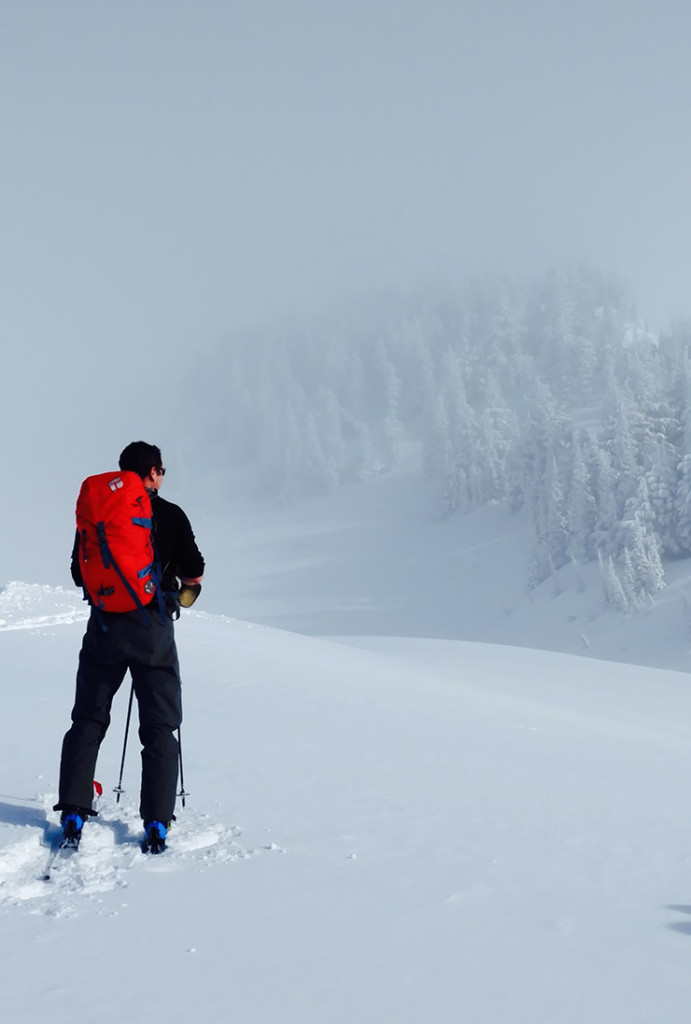 Backcountry skiing Mt. Rainier