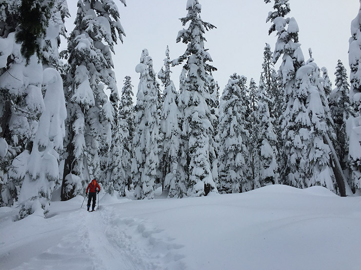 Skinning in Alpental