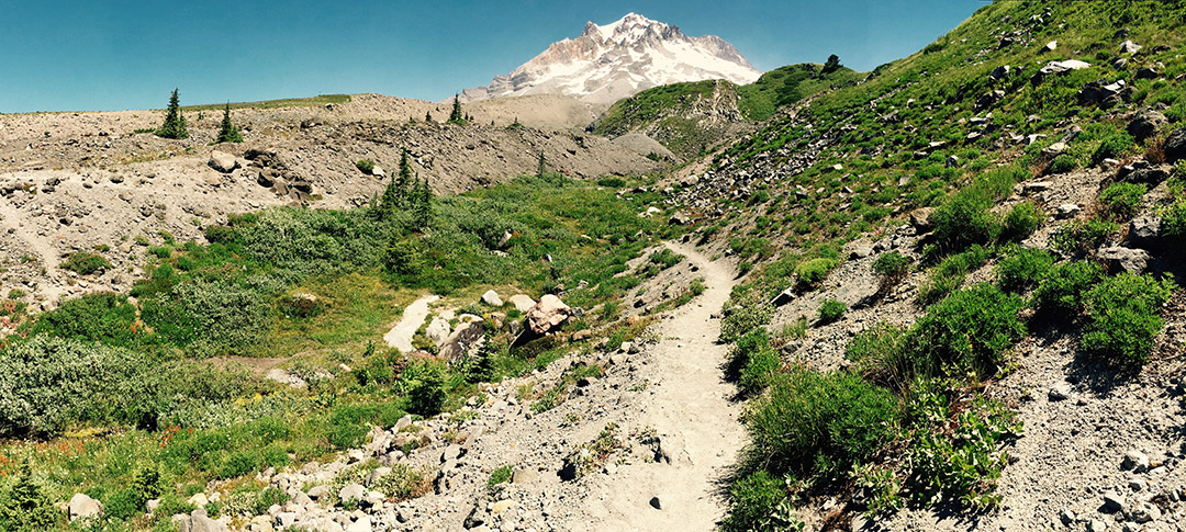 Mt. Hood Timberline Trail