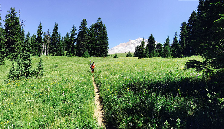 Mt. Hood Timberline Trail