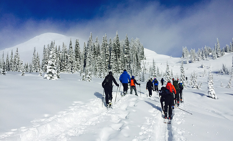 Mt. Rainier Backcountry Skiing