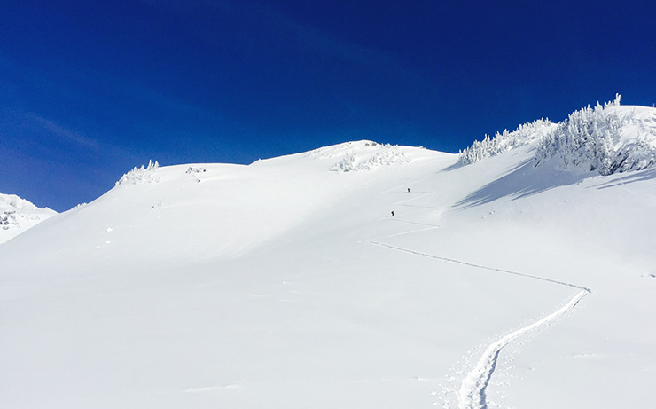 Skin tracks Panorama Point