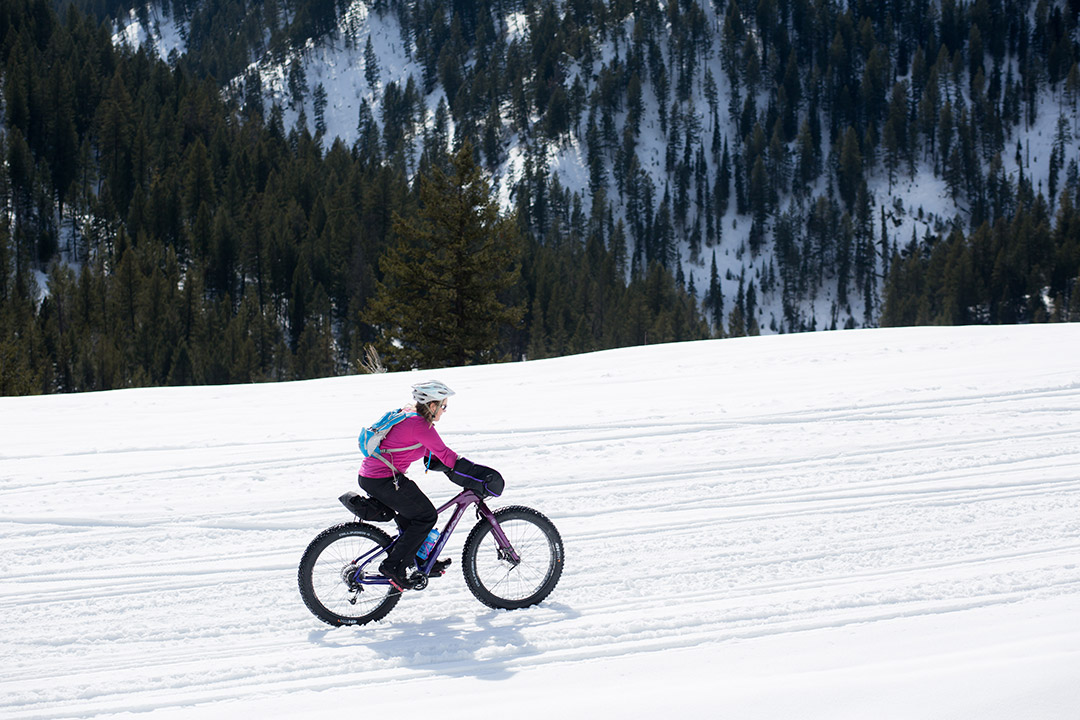 Fat Biking Mesa Trail Jackson Hole