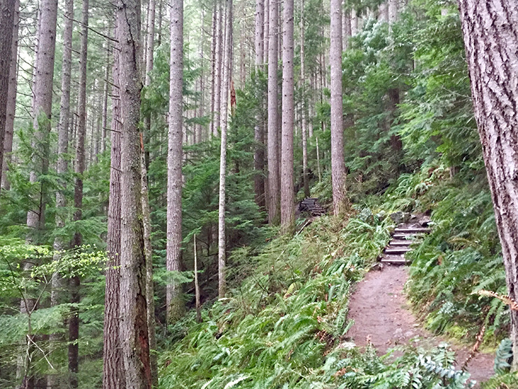 Hiking Mt. Si