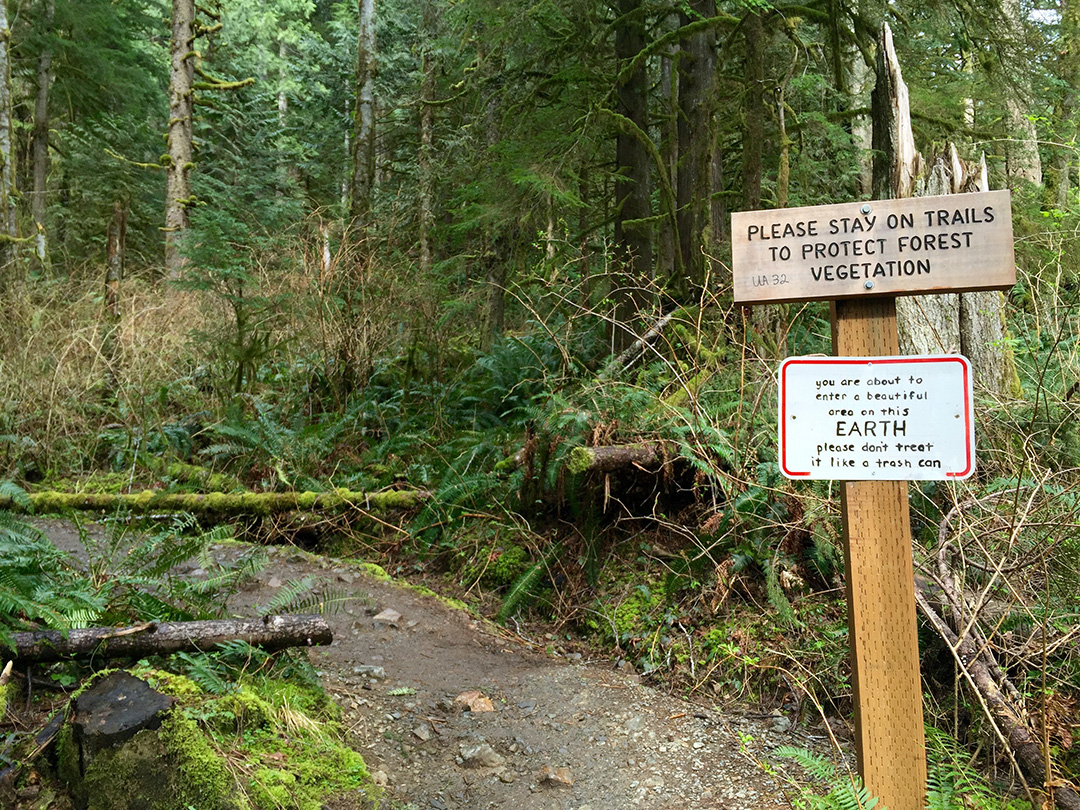 Ski descent from Mount Si haystack