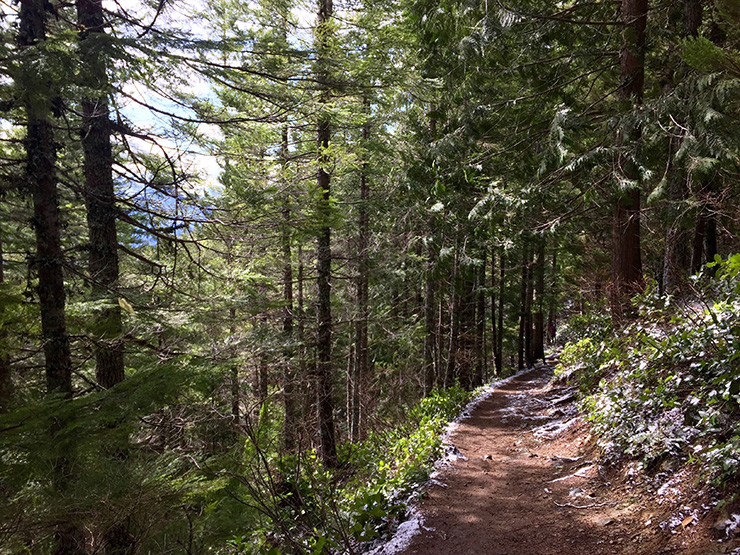 Mt Si Trail