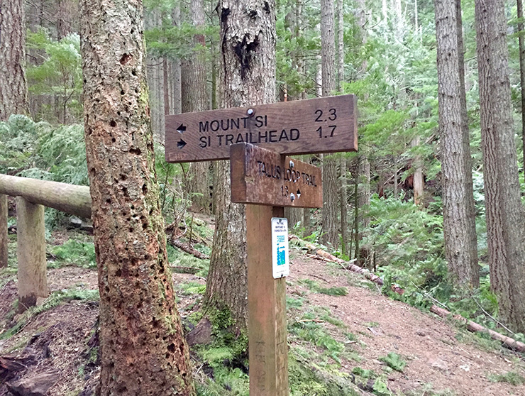 Mt Si Trail