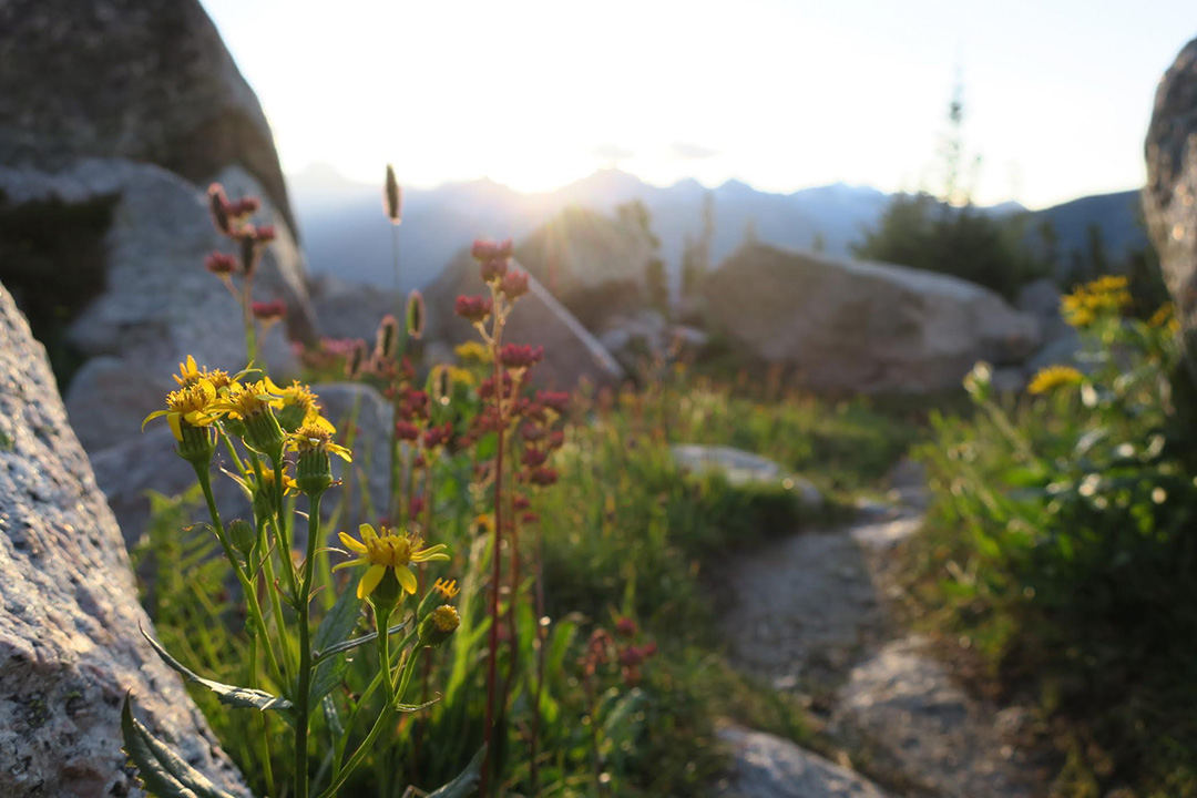 Sunrise Bugaboo Provincial Park