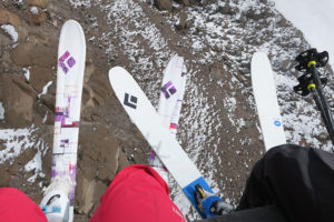 skiing timberline touring