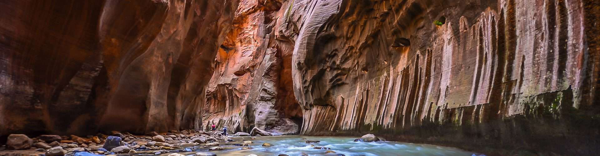 A tight corridor of the Narrows in Zion National Park