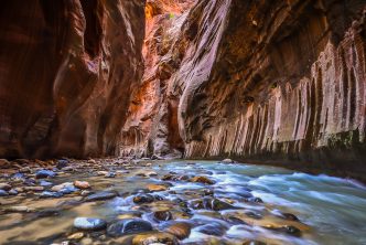 A tight corridor of the Narrows in Zion National Park