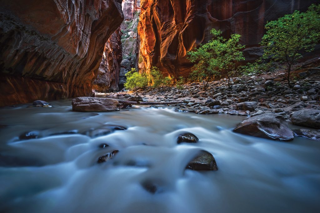 Close up view of the creek flowing through the Narrows in Zion National Park.